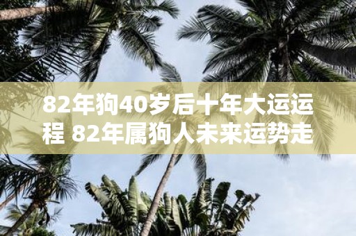 82年狗40岁后十年大运运程 82年属狗人未来运势走向