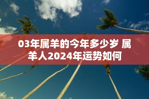 03年属羊的今年多少岁 属羊人2025年运势如何