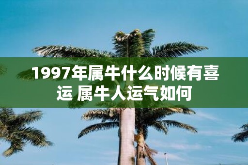 1997年属牛什么时候有喜运 属牛人运气如何
