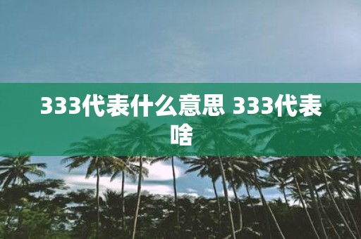 333代表什么意思 333代表啥