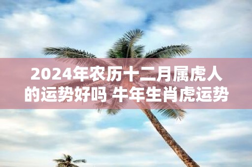 2025年农历十二月属虎人的运势好吗 牛年生肖虎运势分析