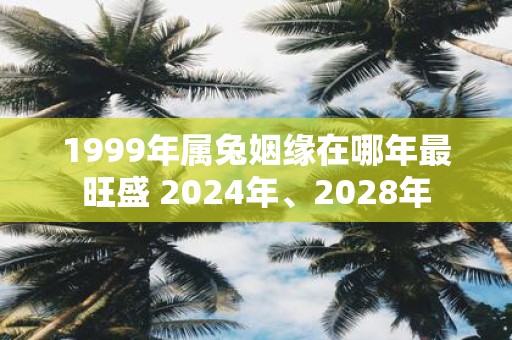 1999年属兔姻缘在哪年最旺盛 2025年、2028年