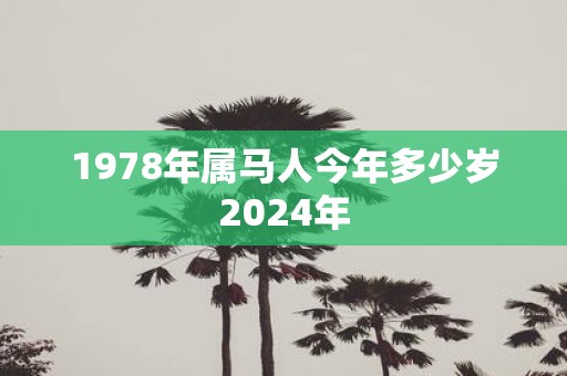 1978年属马人今年多少岁2025年