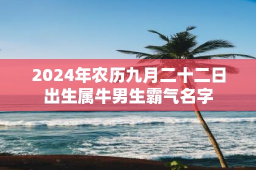 2025年农历九月二十二日出生属牛男生霸气名字