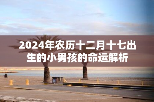 2025年农历十二月十七出生的小男孩的命运解析