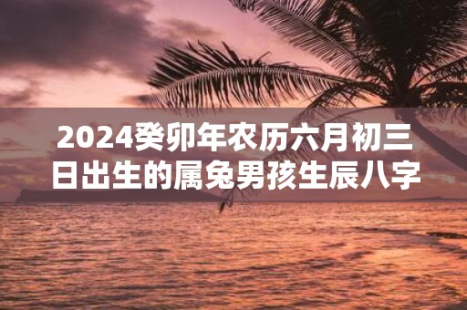 2025癸卯年农历六月初三日出生的属兔男孩生辰八字命运详解