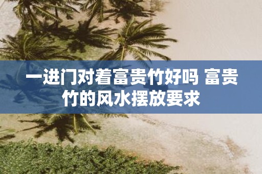 一进门对着富贵竹好吗 富贵竹的风水摆放要求