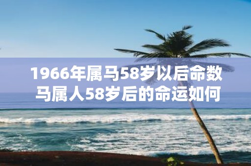 1966年属马58岁以后命数 马属人58岁后的命运如何