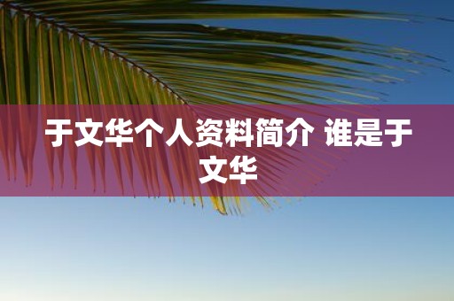 于文华个人资料简介 谁是于文华
