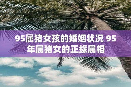 95属猪女孩的婚姻状况 95年属猪女的正缘属相