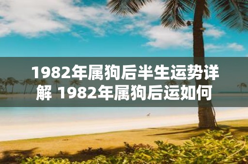 1982年属狗后半生运势详解 1982年属狗后运如何