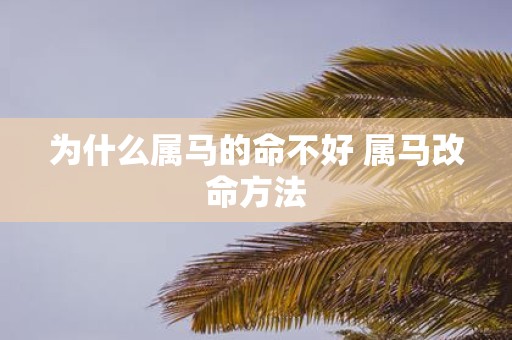 为什么属马的命不好 属马改命方法