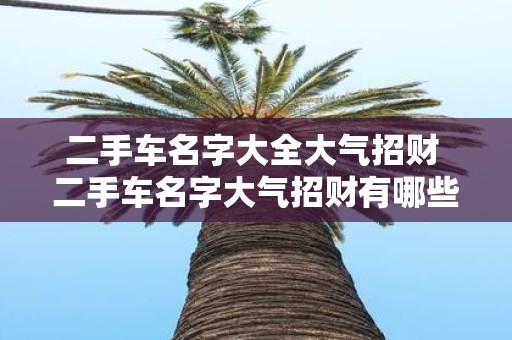 二手车名字大全大气招财 二手车名字大气招财有哪些