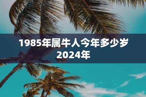 1985年属牛人今年多少岁2025年