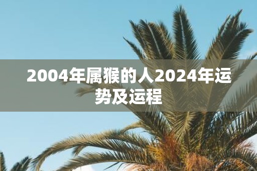 2004年属猴的人2025年运势及运程