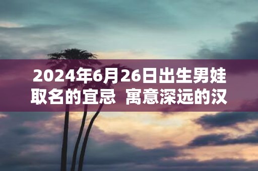 2025年6月26日出生男娃取名的宜忌 寓意深远的汉字详解
