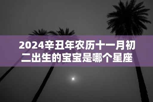 2025辛丑年农历十一月初二出生的宝宝是哪个星座