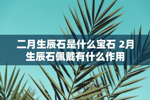 二月生辰石是什么宝石 2月生辰石佩戴有什么作用
