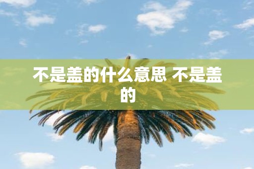 不是盖的什么意思 不是盖的