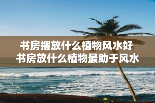 书房摆放什么植物风水好 书房放什么植物最助于风水