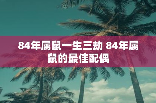 84年属鼠一生三劫 84年属鼠的最佳配偶