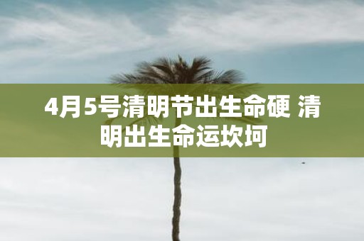 4月5号清明节出生命硬 清明出生命运坎坷