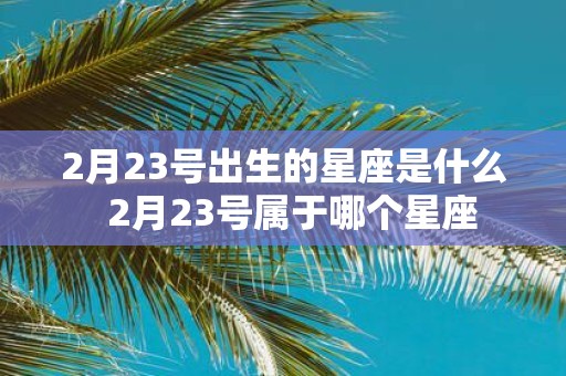 2月23号出生的星座是什么 2月23号属于哪个星座