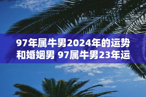97年属牛男2025年的运势和婚姻男 97属牛男23年运势和婚姻如何
