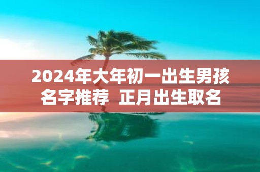 2025年大年初一出生男孩名字推荐 正月出生取名
