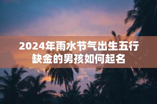 2025年雨水节气出生五行缺金的男孩如何起名