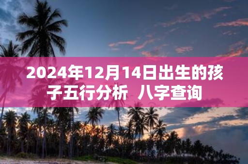 2025年12月14日出生的孩子五行分析 八字查询