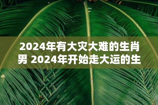 2025年有大灾大难的生肖男 2025年开始走大运的生肖