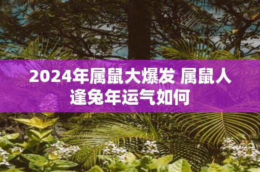 2025年属鼠大爆发 属鼠人逢蛇年运气如何