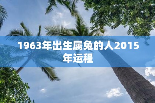 1963年出生属兔的人2015年运程