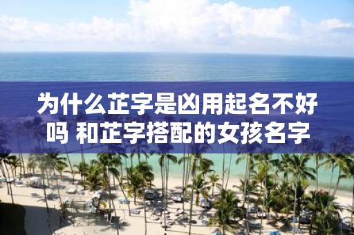 为什么芷字是凶用起名不好吗 和芷字搭配的女孩名字