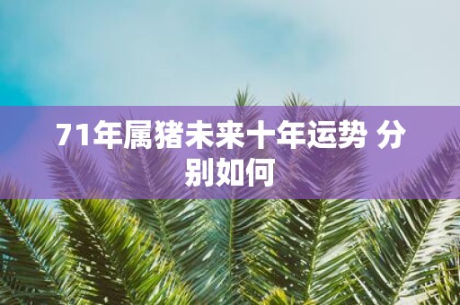 71年属猪未来十年运势 分别如何 71年属猪未来十年运势 分别如何