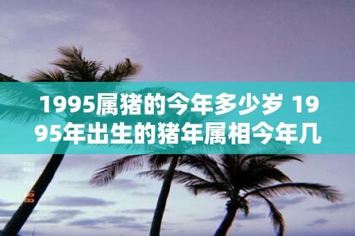 1995属猪的今年多少岁 1995年出生的猪年属相今年几岁