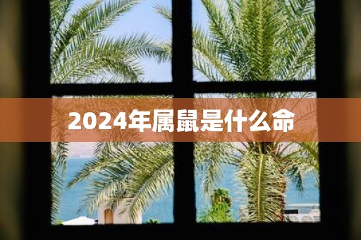 2025年属鼠是什么命