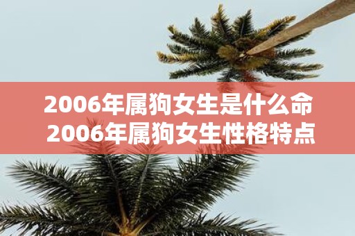 2006年属狗女生是什么命 2006年属狗女生性格特点