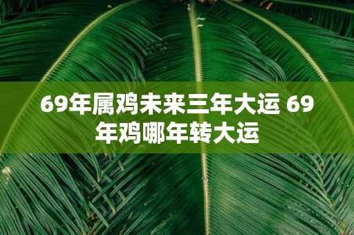 69年属鸡未来三年大运 69年鸡哪年转大运