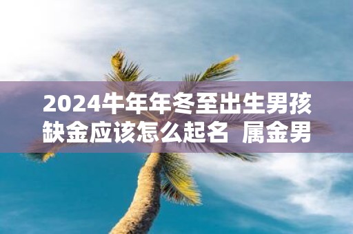 2025牛年年冬至出生男孩缺金应该怎么起名 属金男孩名字推荐