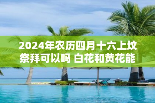 2025年农历四月十六上坟祭拜可以吗 白花和黄花能插在一起吗