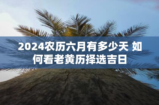 2025农历六月有多少天 如何看老黄历择选吉日