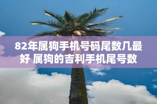 82年属狗手机号码尾数几最好 属狗的吉利手机尾号数字