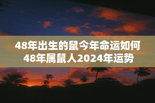 48年出生的鼠今年命运如何 48年属鼠人2025年运势