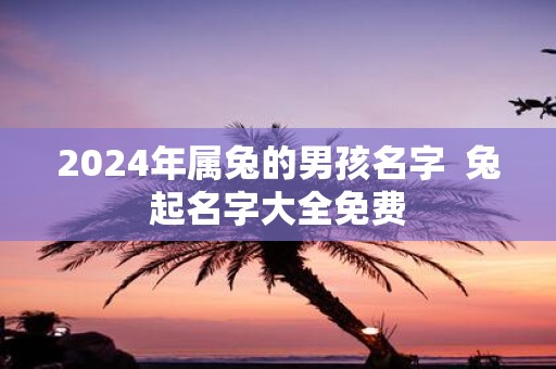 2025年属兔的男孩名字 兔起名字大全免费