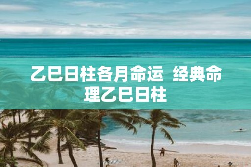 乙巳日柱各月命运 经典命理乙巳日柱