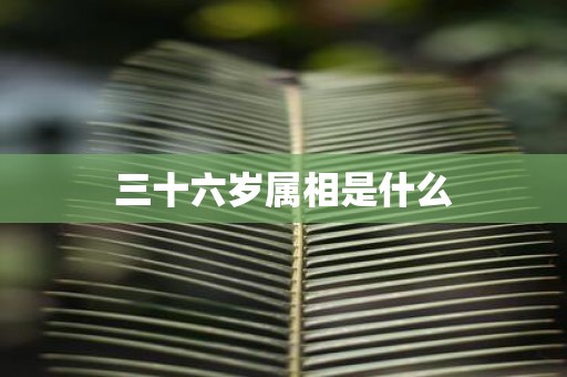 三十六岁属相是什么