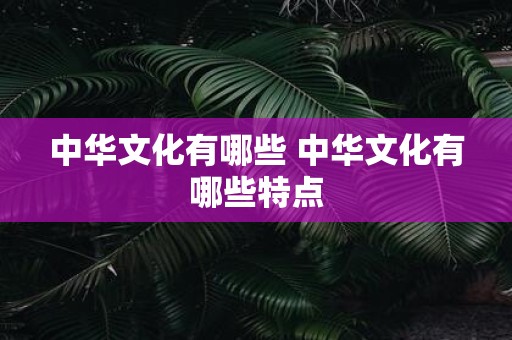 中华文化有哪些 中华文化有哪些特点