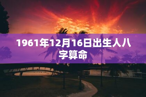 1961年12月16日出生人八字算命